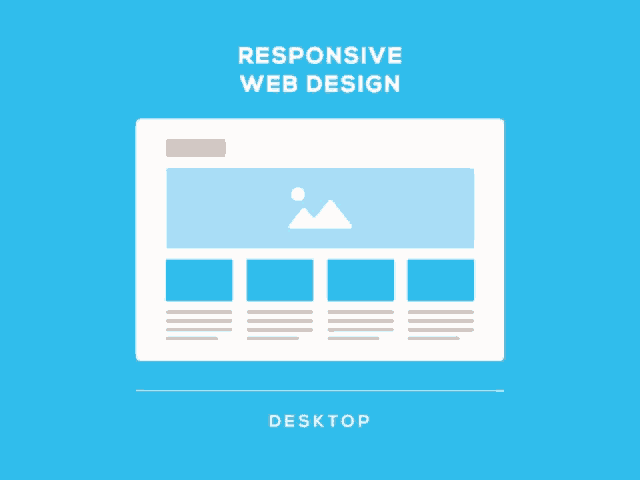 Premium Responsive Web Design and SEO Services
