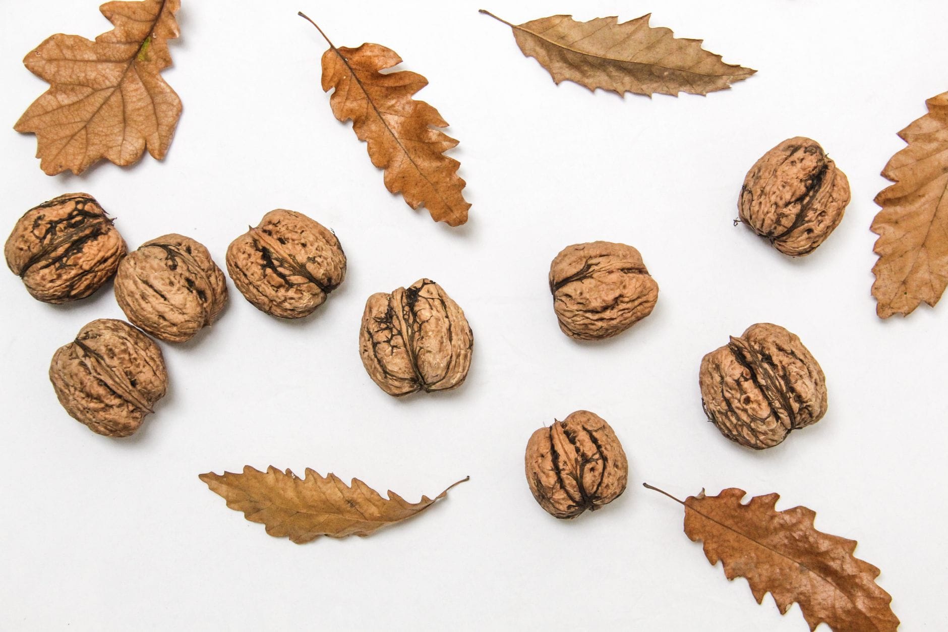 5 SEO Missteps Walnut Creek Firms Must Avoid