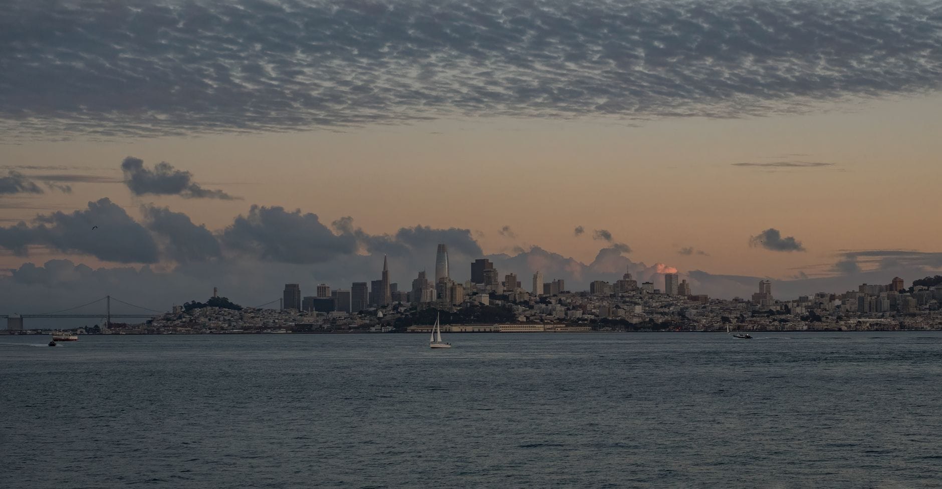 AI for San Francisco Bay Area Small Business: Real Growth, Not Hype